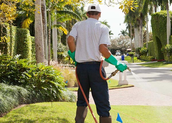 About Ahmeek MI Pest Control